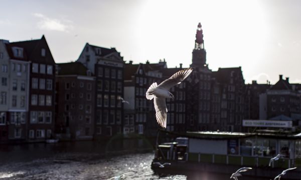 Amsterdam