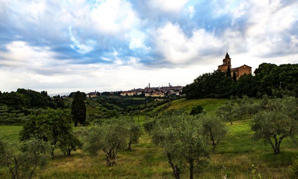 Firenze