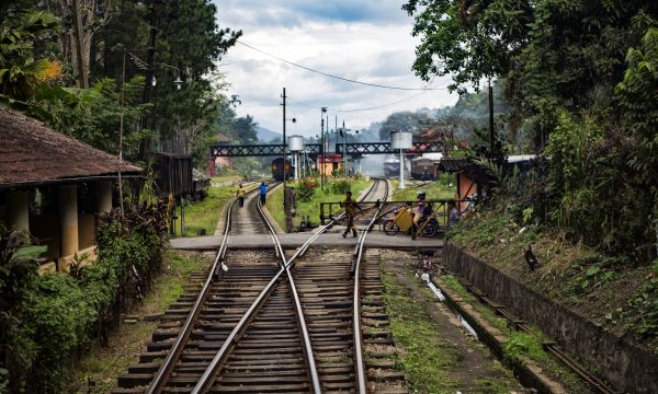 Srilanka 23