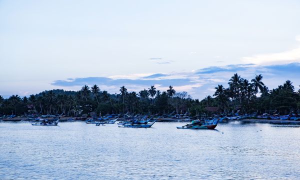 Srilanka 4