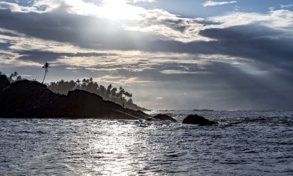 Srilanka 5