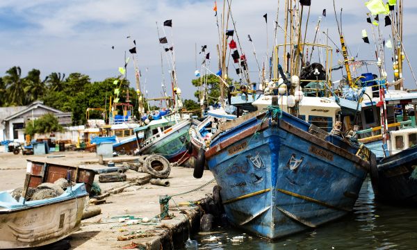 Srilanka 9